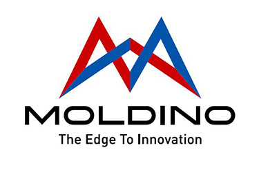 Logo Moldino